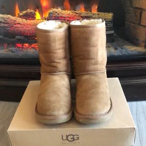 Chestnut Classic Short UGGS